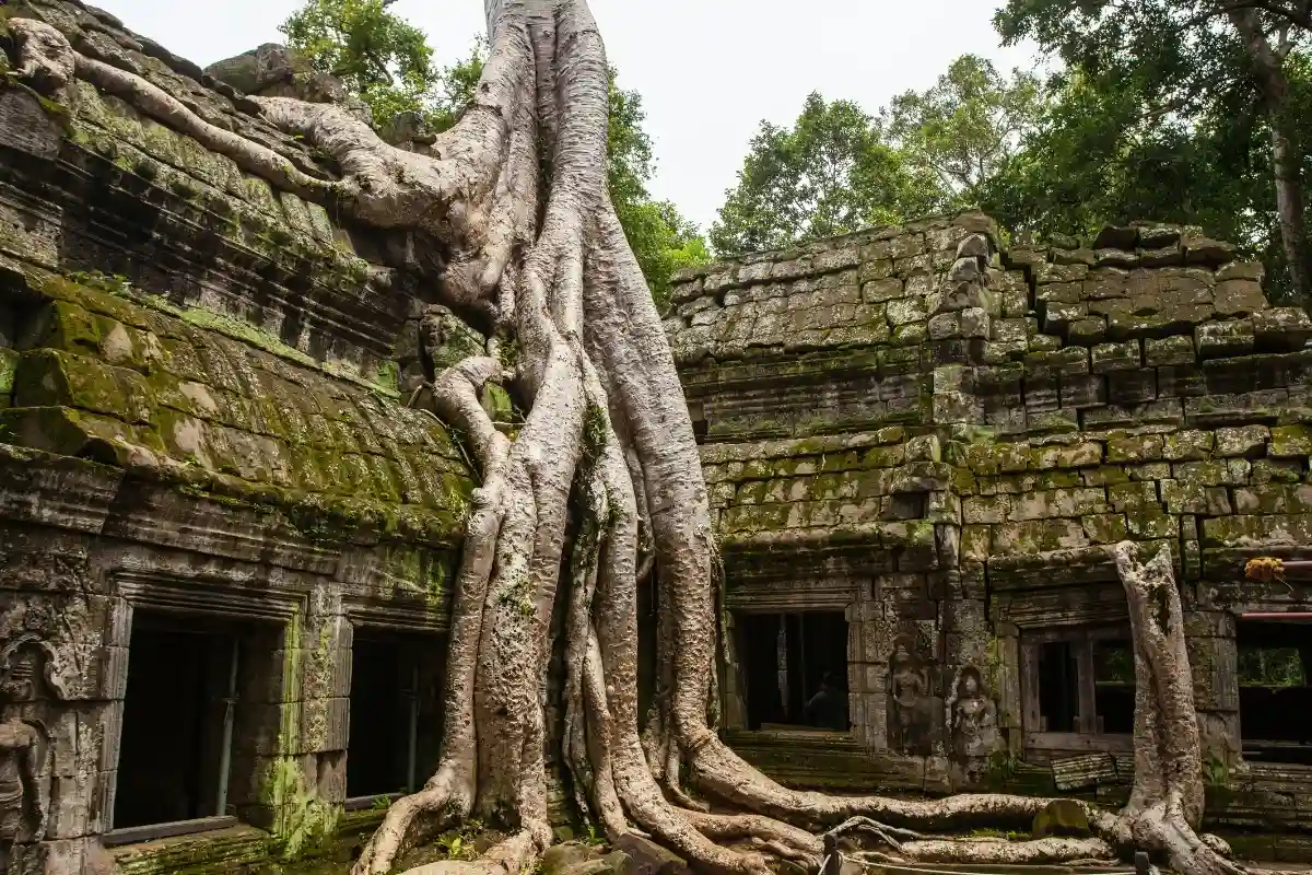 Ta Prohm