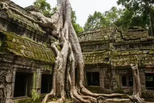 Ta Prohm