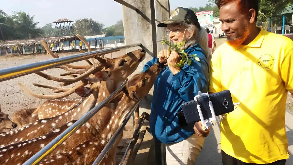 Amazing 6-Day Sundarbans Safari and Bagerhat Tour from Dhaka