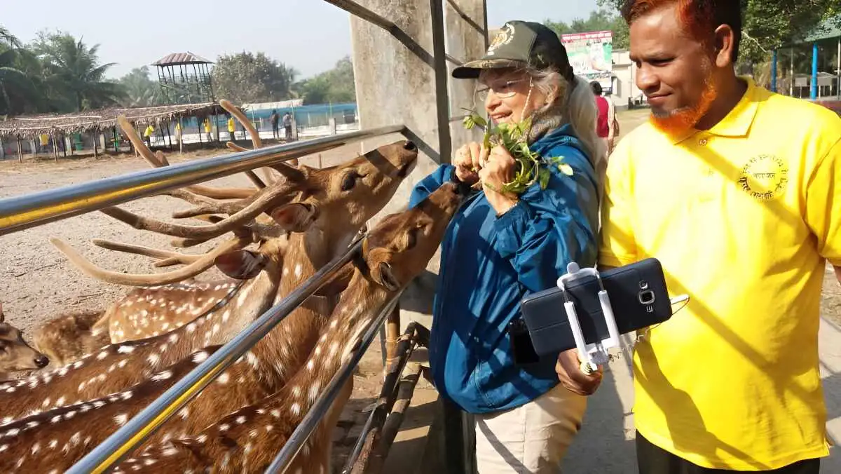 Amazing 6-Day Sundarbans Safari and Bagerhat Tour from Dhaka