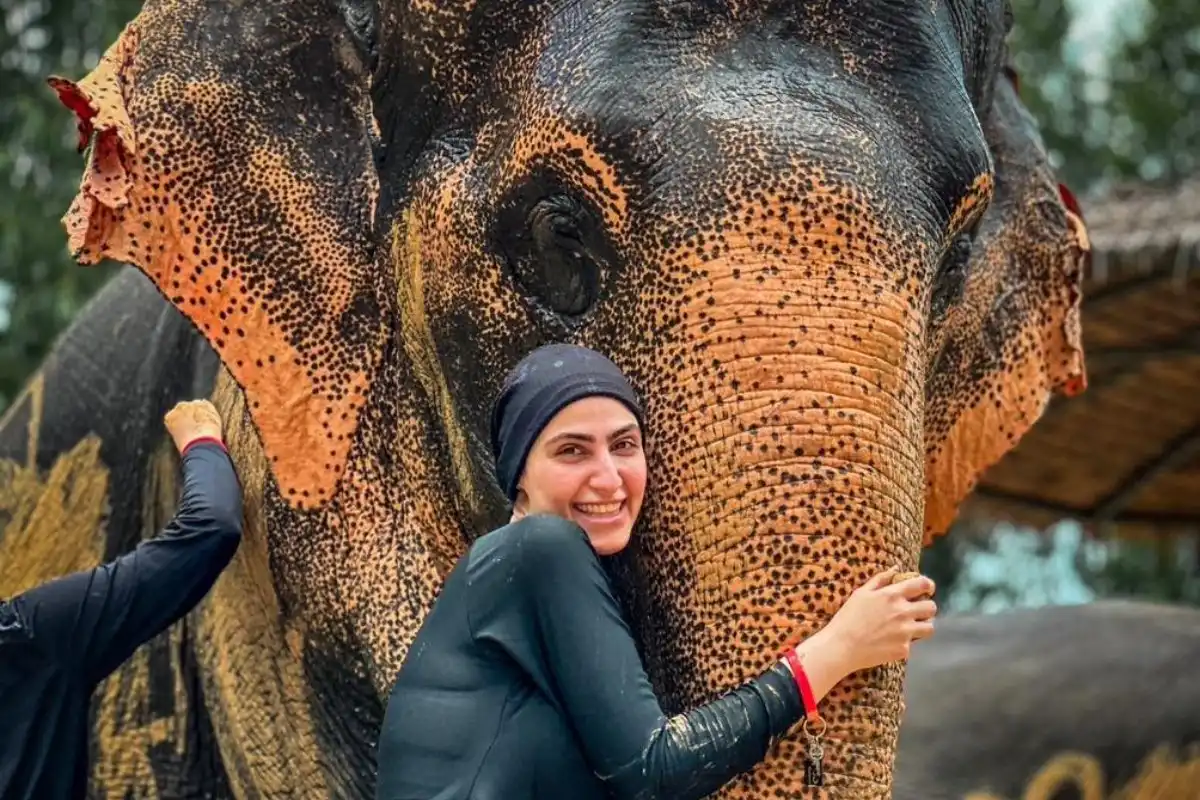 Half-Day Phuket Elephant Care Sanctuary Tour Experience with Joyful Moments