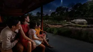 Best Price Singapore Night Safari Direct Entry Ticket with Tram Ride