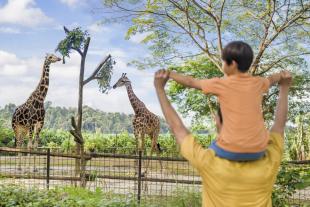 Singapore Zoo Direct Entry Admission with Tram Rides