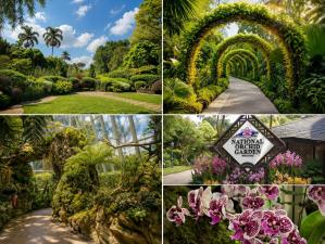 National Orchid Garden Singapore Admission Ticket | Skip the Line to Singapore's Orchid Paradise