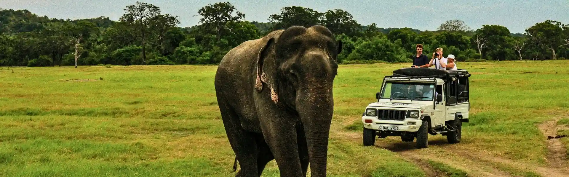 Nature & Wildlife Tours