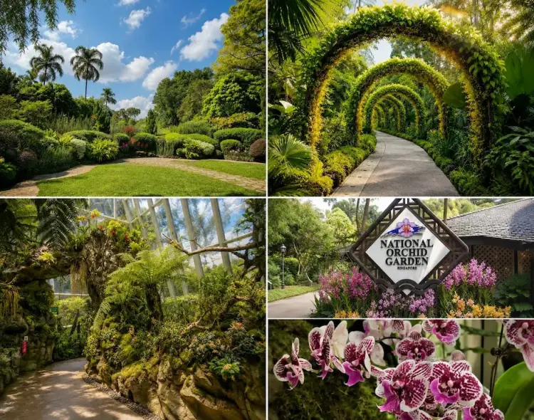 Singapore Zoo Direct Entry Admission with Tram Rides