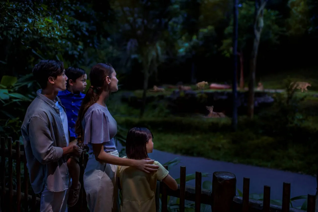 Best Price Singapore Night Safari Direct Entry Ticket with Tram Ride