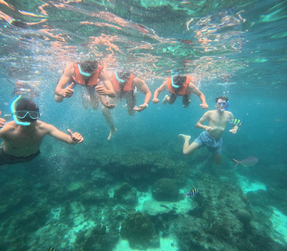 Phuket to Phi Phi Island Tour by Speed Catamaran