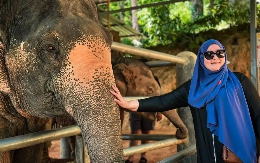 Morning Bliss: Half Day Phuket Elephant Care Sanctuary Tour