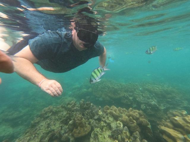 Phuket: Best of Phi Phi Island Speedboat Tour Snorkeling Thrilling Swimming